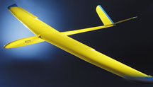 Gliders
